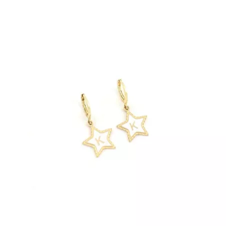 1 par Pendientes moda de acero inoxidable con estrella inicial para mujeres