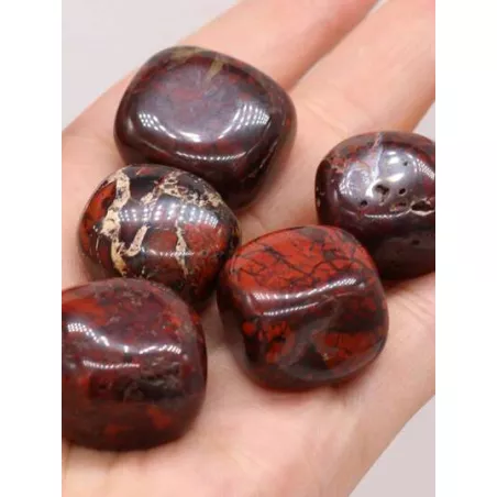 5 piezas piedra natural Accesorio de joya DIY Cuenta DIY